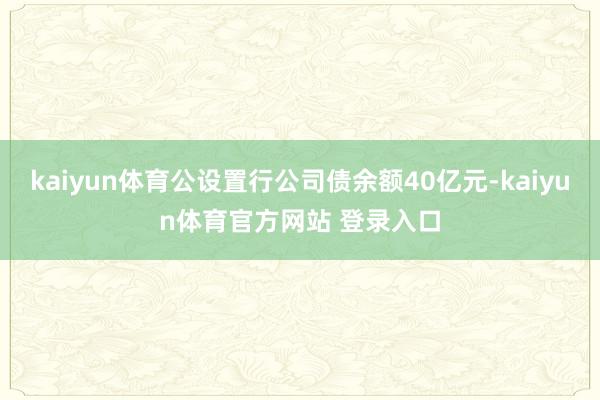 kaiyun体育公设置行公司债余额40亿元-kaiyun体育官方网站 登录入口