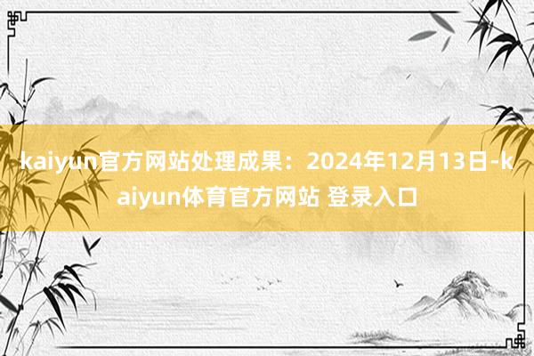 kaiyun官方网站处理成果：2024年12月13日-kaiyun体育官方网站 登录入口