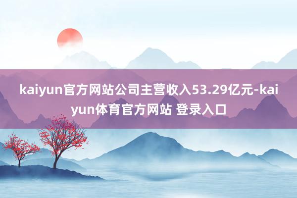 kaiyun官方网站公司主营收入53.29亿元-kaiyun体育官方网站 登录入口