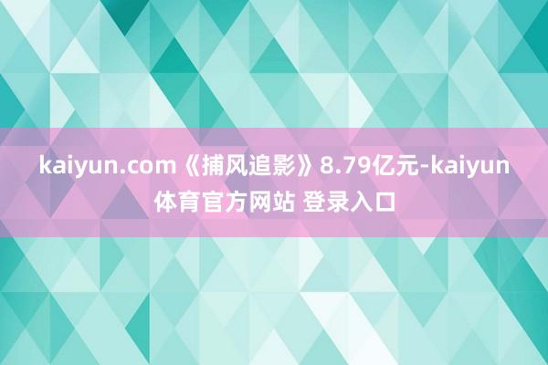 kaiyun.com《捕风追影》8.79亿元-kaiyun体育官方网站 登录入口