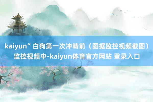 kaiyun”白狗第一次冲畴前（图据监控视频截图）监控视频中-kaiyun体育官方网站 登录入口